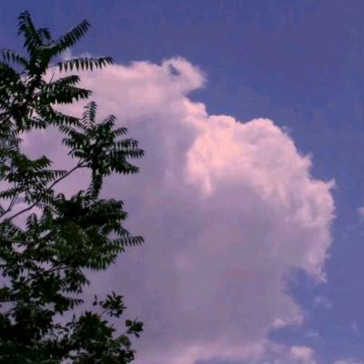 龙谷游戏斗妖传下载